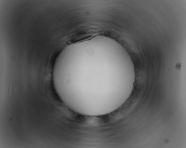 X0000103320226200809261144