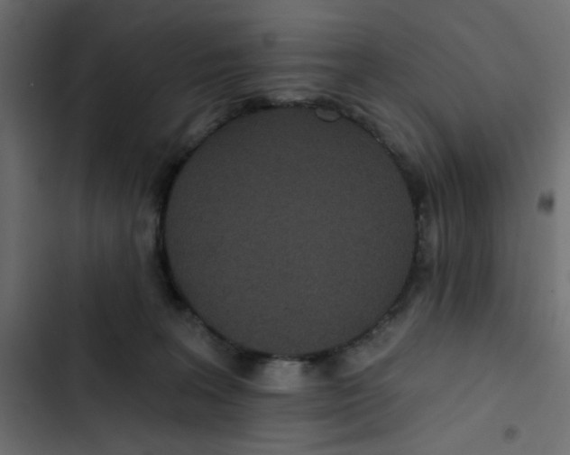 X0000103320227200809261144