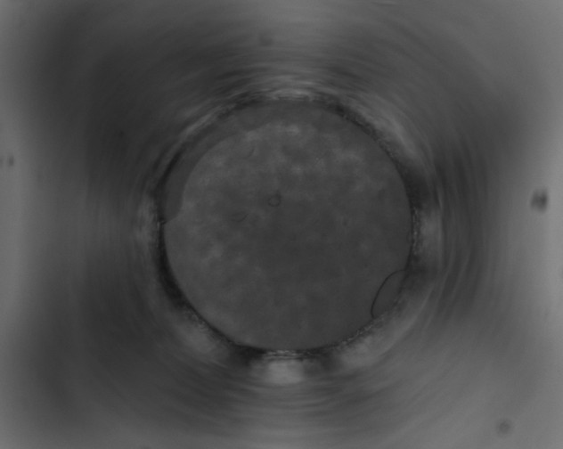 X0000103320228200809261144