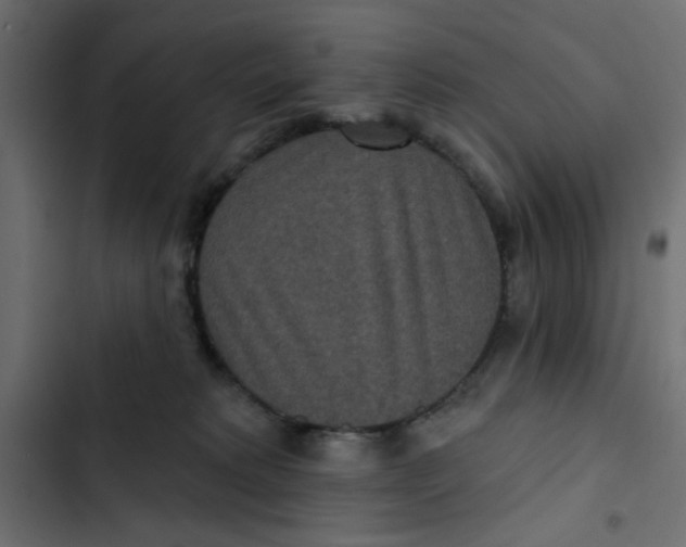 X0000103320229200809261144