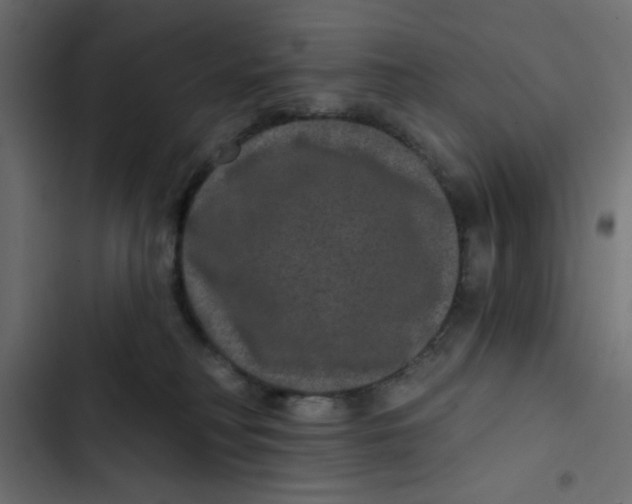 X0000103320230200809261144