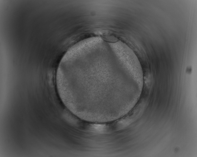 X0000103320233200809261144