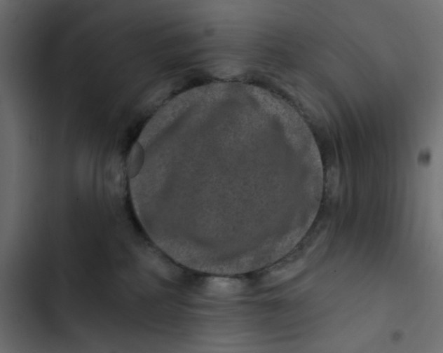 X0000103320234200809261144