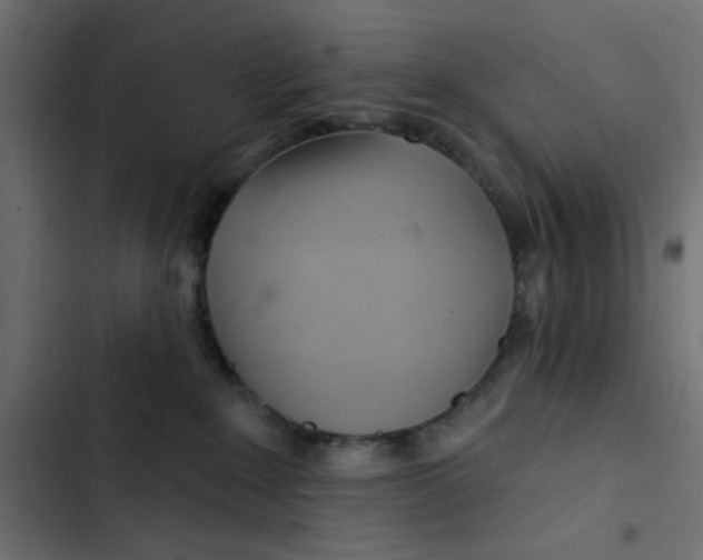 X0000103320235200809261144