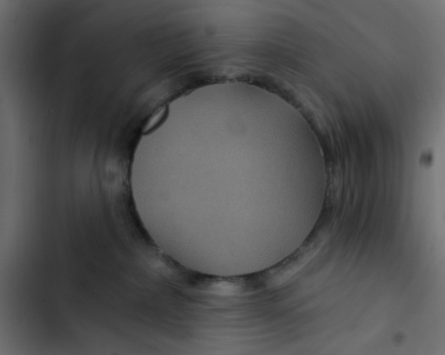 X0000103320236200809261144