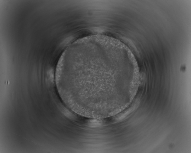 X0000103320238200809261144