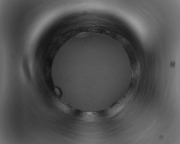 X0000103320239200809261144