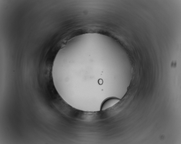 X0000103320240200809261144