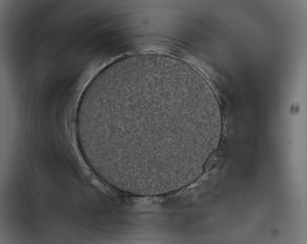 X0000103320241200809261143