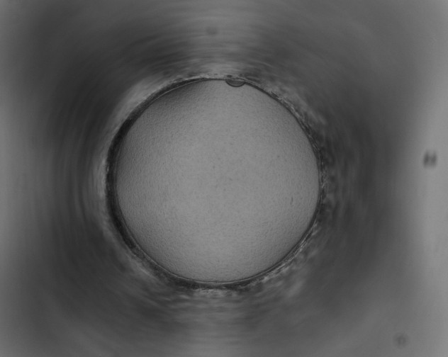 X0000103320242200809261143