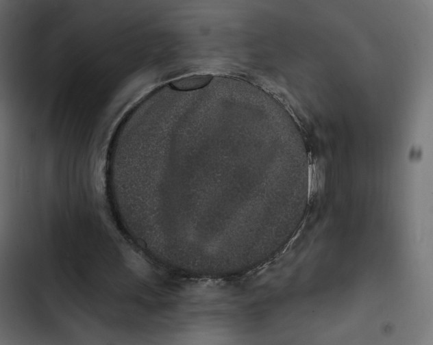 X0000103320243200809261143