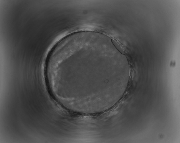 X0000103320244200809261143