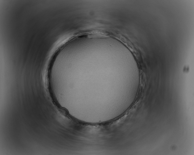 X0000103320245200809261143