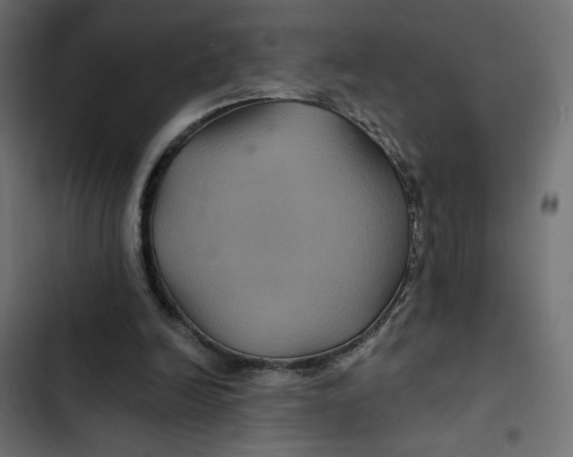 X0000103320246200809261143