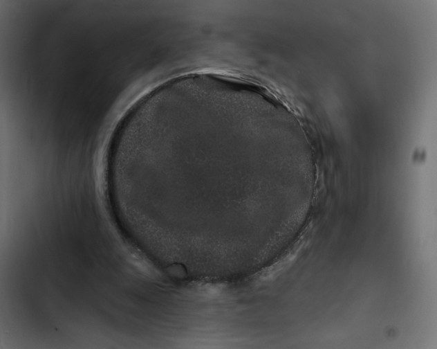 X0000103320247200809261143