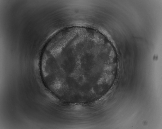 X0000103320249200809261143