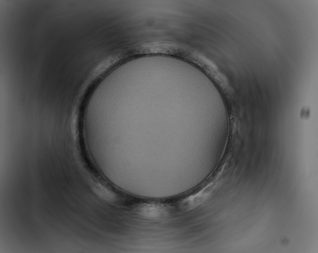 X0000103320250200809261143