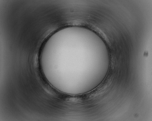 X0000103320251200809261143