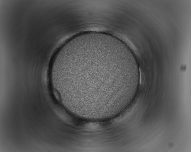 X0000103320252200809261143