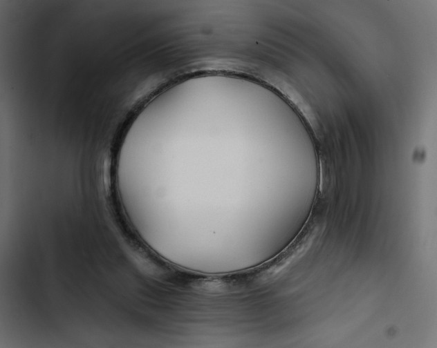 X0000103320253200809261143