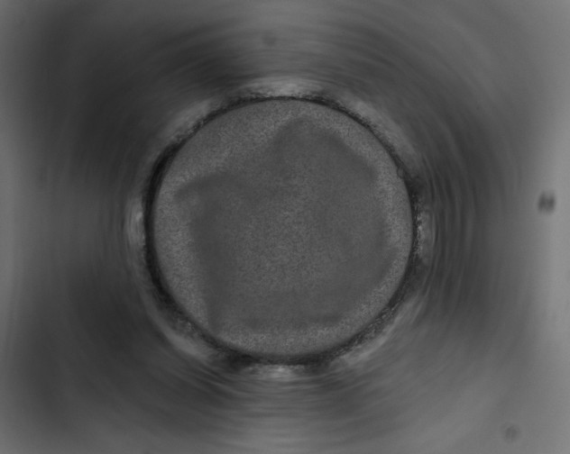 X0000103320254200809261143