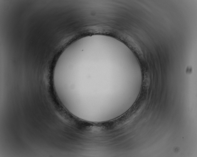 X0000103320255200809261143