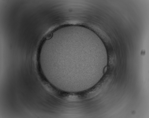 X0000103320256200809261143