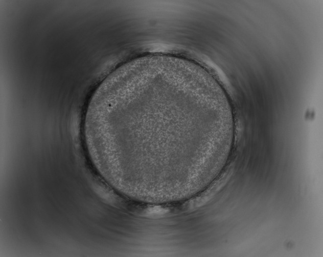 X0000103320257200809261143