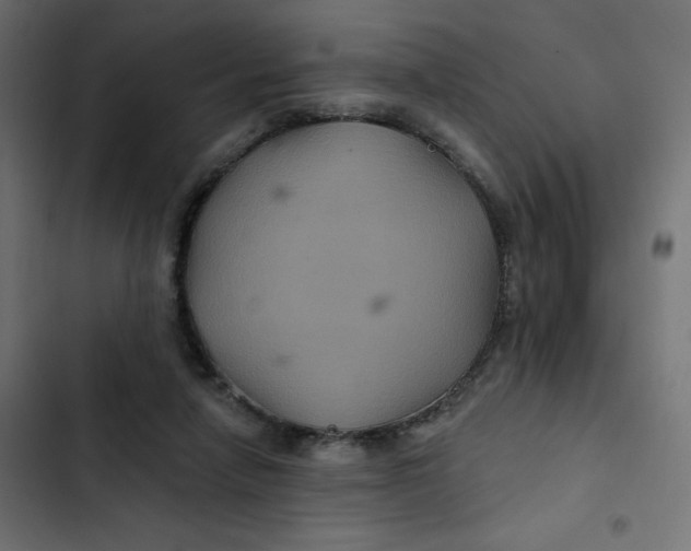 X0000103320258200809261143