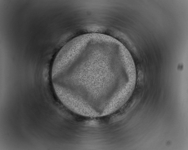 X0000103320259200809261143