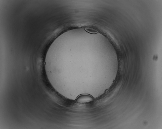 X0000103320260200809261143