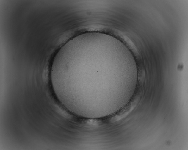 X0000103320261200809261144