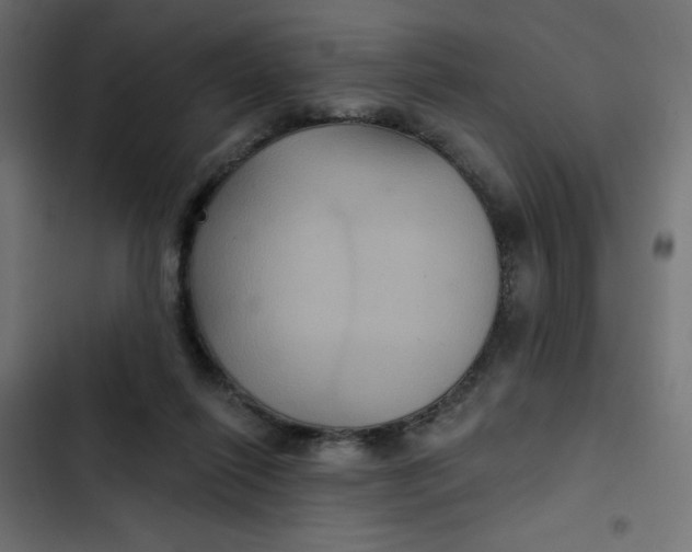 X0000103320262200809261144