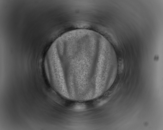 X0000103320263200809261144