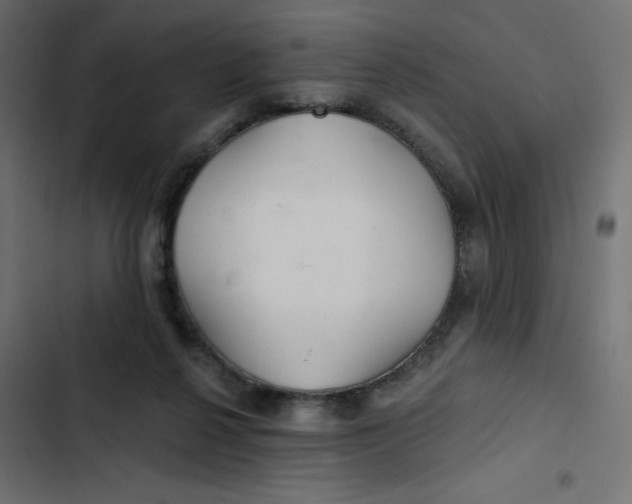 X0000103320264200809261144