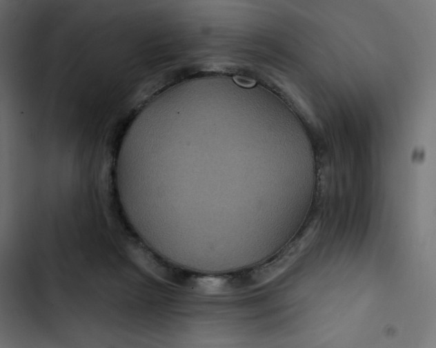 X0000103320265200809261144