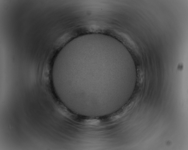 X0000103320266200809261144