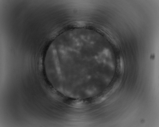 X0000103320267200809261144