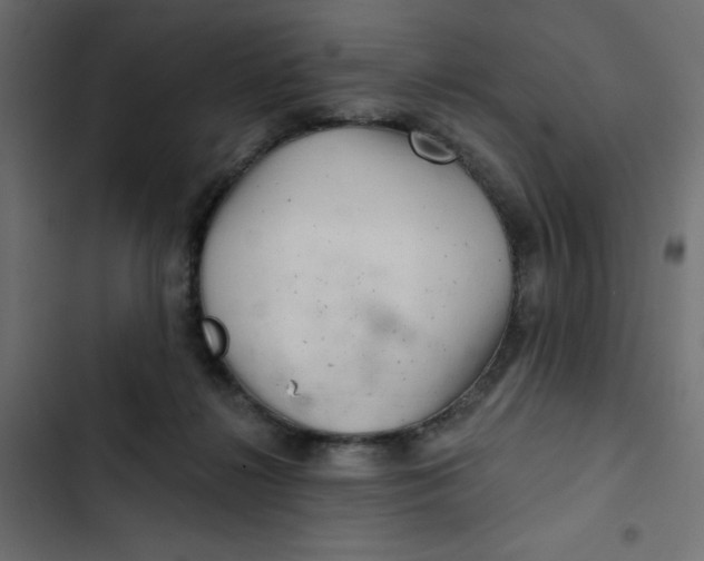 X0000103320268200809261144