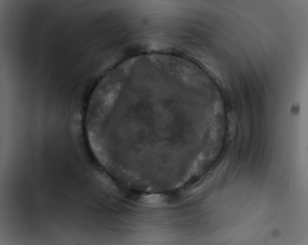 X0000103320269200809261144