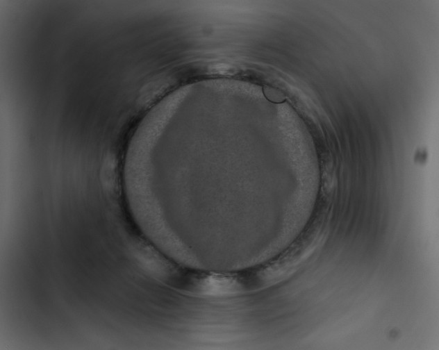 X0000103320270200809261144