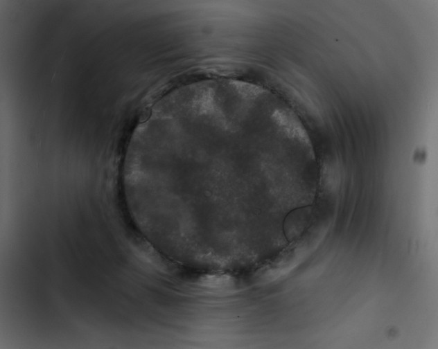 X0000103320271200809261144