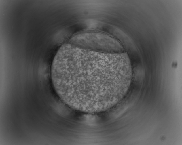 X0000103320272200809261144