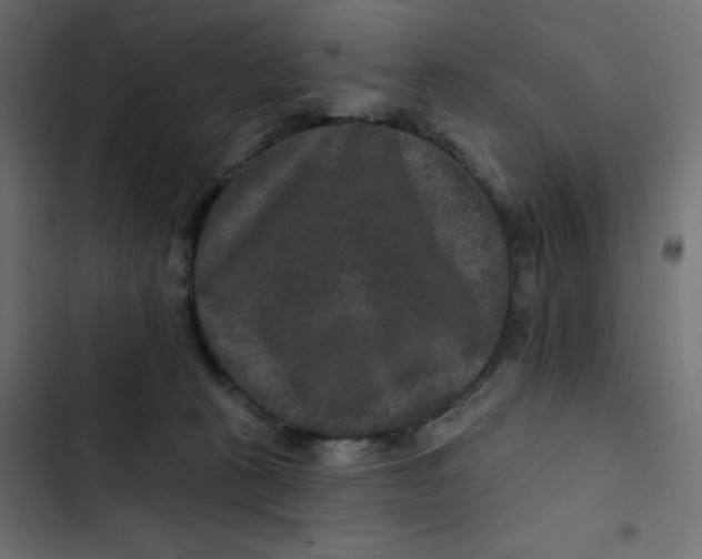 X0000103320273200809261144