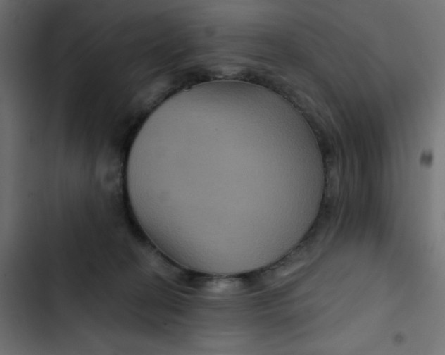 X0000103320274200809261144