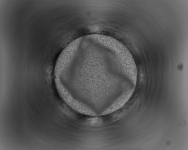 X0000103320275200809261144