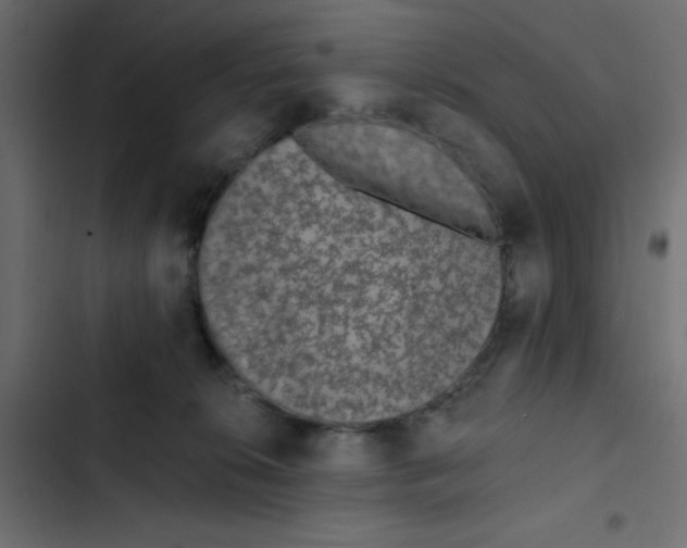 X0000103320276200809261144