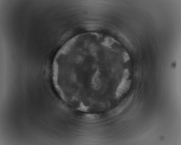 X0000103320277200809261144