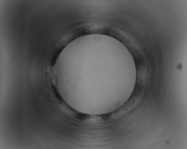 X0000103320278200809261144