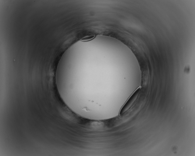 X0000103320279200809261144